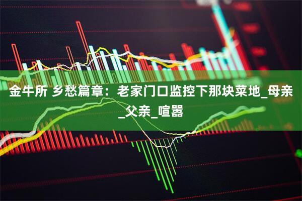 金牛所 乡愁篇章：老家门口监控下那块菜地_母亲_父亲_喧嚣