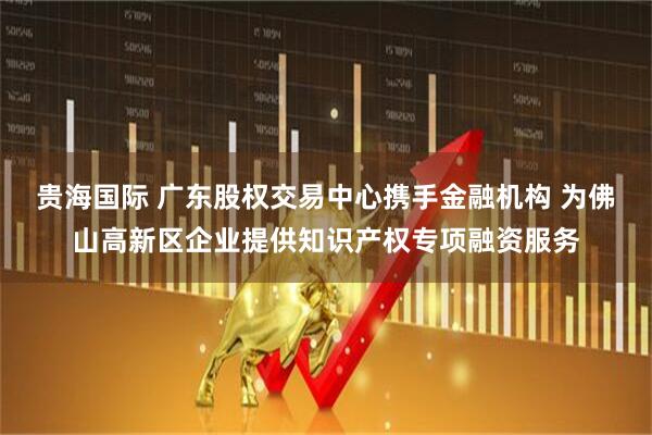 贵海国际 广东股权交易中心携手金融机构 为佛山高新区企业提供知识产权专项融资服务