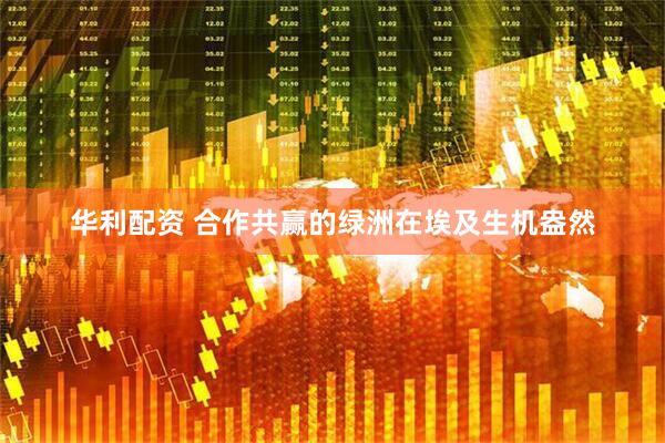 华利配资 合作共赢的绿洲在埃及生机盎然
