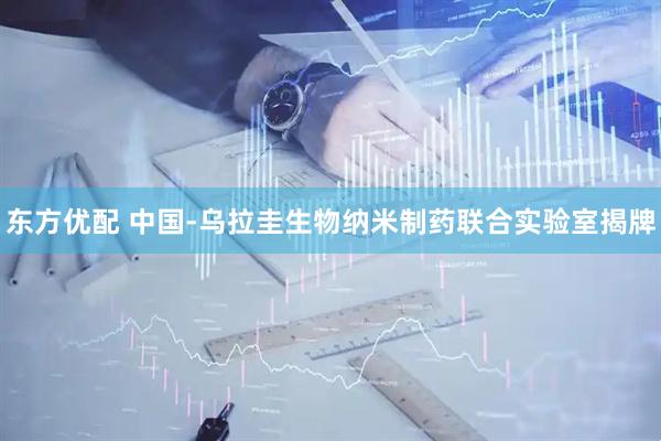 东方优配 中国-乌拉圭生物纳米制药联合实验室揭牌