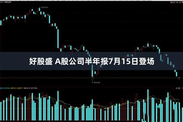 好股盛 A股公司半年报7月15日登场