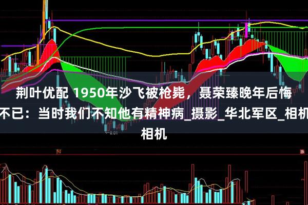 荆叶优配 1950年沙飞被枪毙，聂荣臻晚年后悔不已：当时我们不知他有精神病_摄影_华北军区_相机