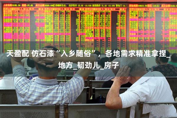 天盈配 仿石漆“入乡随俗”，各地需求精准拿捏_地方_韧劲儿_房子
