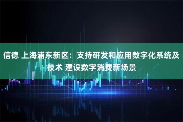 信德 上海浦东新区：支持研发和应用数字化系统及技术 建设数字消费新场景