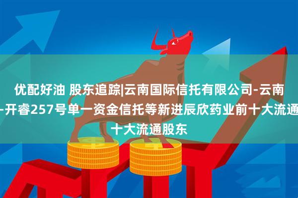 优配好油 股东追踪|云南国际信托有限公司-云南信托-开睿257号单一资金信托等新进辰欣药业前十大流通股东
