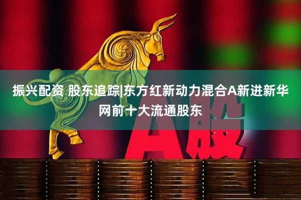 振兴配资 股东追踪|东方红新动力混合A新进新华网前十大流通股东