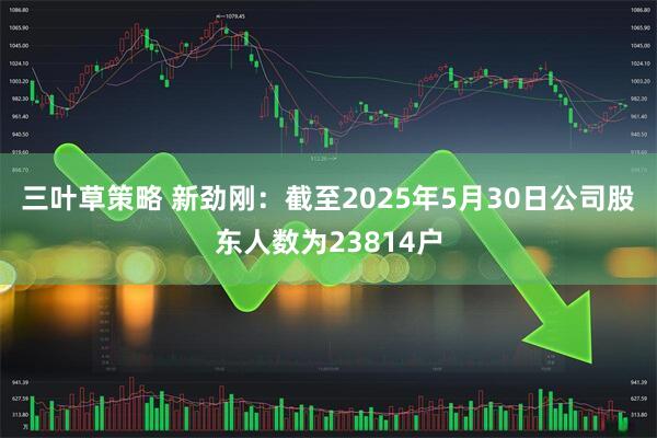 三叶草策略 新劲刚：截至2025年5月30日公司股东人数为23814户